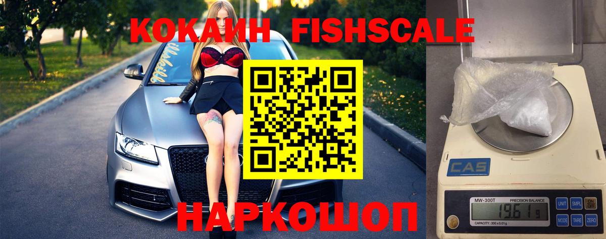 КОКАИН FishScale  Cocaine 99%  где найти наркотики  Вход с VPN  Заводоуковск 